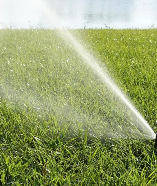 Secretos para Jardines Exuberantes con Riego Automático