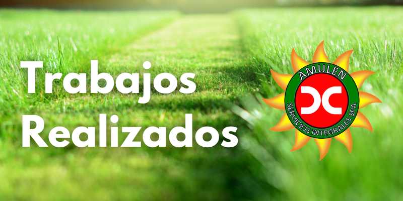 Trabajos realizados Amulen Servicios